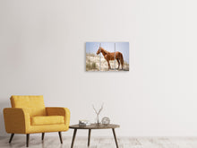 Laden Sie das Bild in den Galerie-Viewer, Leinwandbild 3-teilig Wilder spanischer Mustang