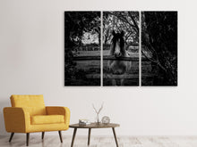 Laden Sie das Bild in den Galerie-Viewer, Leinwandbild 3-teilig Das Pferd sw