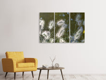 Laden Sie das Bild in den Galerie-Viewer, Leinwandbild 3-teilig Ziergräser in XL