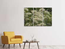 Laden Sie das Bild in den Galerie-Viewer, Leinwandbild 3-teilig Ziergrass im Wind