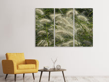 Laden Sie das Bild in den Galerie-Viewer, Leinwandbild 3-teilig Ziergrass im Wind