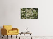 Laden Sie das Bild in den Galerie-Viewer, Leinwandbild 3-teilig Ziergrass im Wind