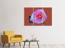 Laden Sie das Bild in den Galerie-Viewer, Leinwandbild 3-teilig Rose in pink XXL