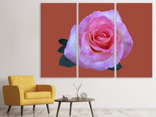 Laden Sie das Bild in den Galerie-Viewer, Leinwandbild 3-teilig Rose in pink XXL