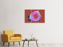 Laden Sie das Bild in den Galerie-Viewer, Leinwandbild 3-teilig Rose in pink XXL