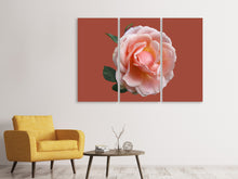 Laden Sie das Bild in den Galerie-Viewer, Leinwandbild 3-teilig Rose in rosa XXL