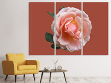 Laden Sie das Bild in den Galerie-Viewer, Leinwandbild 3-teilig Rose in rosa XXL