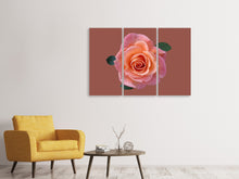 Laden Sie das Bild in den Galerie-Viewer, Leinwandbild 3-teilig Rose in apricot XXL