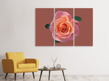 Laden Sie das Bild in den Galerie-Viewer, Leinwandbild 3-teilig Rose in apricot XXL