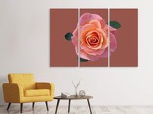Laden Sie das Bild in den Galerie-Viewer, Leinwandbild 3-teilig Rose in apricot XXL