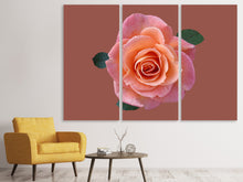 Laden Sie das Bild in den Galerie-Viewer, Leinwandbild 3-teilig Rose in apricot XXL