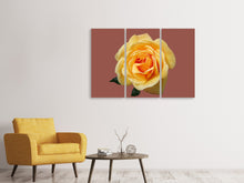 Laden Sie das Bild in den Galerie-Viewer, Leinwandbild 3-teilig Rose in gelb XXL