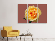 Laden Sie das Bild in den Galerie-Viewer, Leinwandbild 3-teilig Rose in gelb XXL