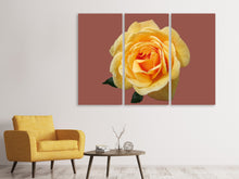 Laden Sie das Bild in den Galerie-Viewer, Leinwandbild 3-teilig Rose in gelb XXL