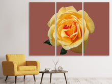 Laden Sie das Bild in den Galerie-Viewer, Leinwandbild 3-teilig Rose in gelb XXL