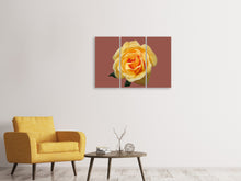 Laden Sie das Bild in den Galerie-Viewer, Leinwandbild 3-teilig Rose in gelb XXL