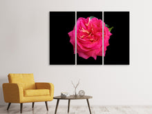 Laden Sie das Bild in den Galerie-Viewer, Leinwandbild 3-teilig Rose in rot XXL