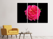 Laden Sie das Bild in den Galerie-Viewer, Leinwandbild 3-teilig Rose in rot XXL
