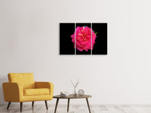 Laden Sie das Bild in den Galerie-Viewer, Leinwandbild 3-teilig Rose in rot XXL