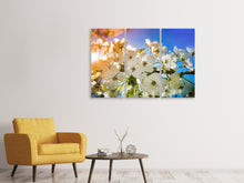 Laden Sie das Bild in den Galerie-Viewer, Leinwandbild 3-teilig Die Apfelbaum Blüte