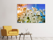 Laden Sie das Bild in den Galerie-Viewer, Leinwandbild 3-teilig Die Apfelbaum Blüte