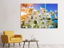 Laden Sie das Bild in den Galerie-Viewer, Leinwandbild 3-teilig Die Apfelbaum Blüte