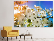 Laden Sie das Bild in den Galerie-Viewer, Leinwandbild 3-teilig Die Apfelbaum Blüte