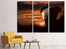 Laden Sie das Bild in den Galerie-Viewer, Leinwandbild 3-teilig Dem Sonnenuntergang entgegen