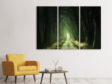 Laden Sie das Bild in den Galerie-Viewer, Leinwandbild 3-teilig Mysteriöser Wald