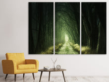 Laden Sie das Bild in den Galerie-Viewer, Leinwandbild 3-teilig Mysteriöser Wald