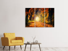 Laden Sie das Bild in den Galerie-Viewer, Leinwandbild 3-teilig Wald Spaziergang