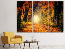 Laden Sie das Bild in den Galerie-Viewer, Leinwandbild 3-teilig Wald Spaziergang