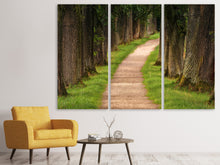 Laden Sie das Bild in den Galerie-Viewer, Leinwandbild 3-teilig Ein Weg im Wald