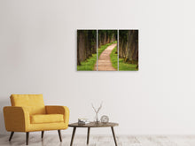 Laden Sie das Bild in den Galerie-Viewer, Leinwandbild 3-teilig Ein Weg im Wald