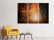 Laden Sie das Bild in den Galerie-Viewer, Leinwandbild 3-teilig Herbstlicht im Wald