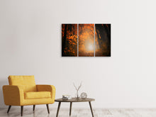 Laden Sie das Bild in den Galerie-Viewer, Leinwandbild 3-teilig Herbstlicht im Wald