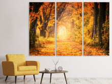 Laden Sie das Bild in den Galerie-Viewer, Leinwandbild 3-teilig Farben prächtiger Wald