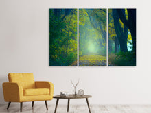 Laden Sie das Bild in den Galerie-Viewer, Leinwandbild 3-teilig Grüner Wald