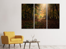 Laden Sie das Bild in den Galerie-Viewer, Leinwandbild 3-teilig Der Laubwald