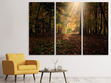 Laden Sie das Bild in den Galerie-Viewer, Leinwandbild 3-teilig Der Laubwald