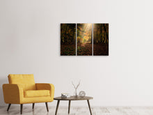 Laden Sie das Bild in den Galerie-Viewer, Leinwandbild 3-teilig Der Laubwald