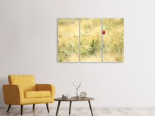 Laden Sie das Bild in den Galerie-Viewer, Leinwandbild 3-teilig Eine Mohnblume