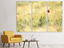 Laden Sie das Bild in den Galerie-Viewer, Leinwandbild 3-teilig Eine Mohnblume