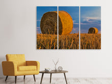 Laden Sie das Bild in den Galerie-Viewer, Leinwandbild 3-teilig Strohballen