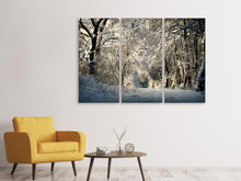 Laden Sie das Bild in den Galerie-Viewer, Leinwandbild 3-teilig Ein Winter Traum