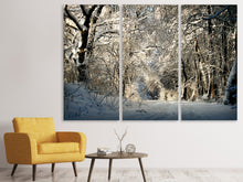 Laden Sie das Bild in den Galerie-Viewer, Leinwandbild 3-teilig Ein Winter Traum
