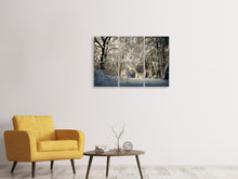 Laden Sie das Bild in den Galerie-Viewer, Leinwandbild 3-teilig Ein Winter Traum