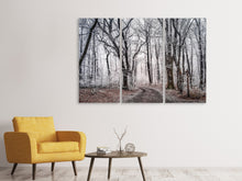 Laden Sie das Bild in den Galerie-Viewer, Leinwandbild 3-teilig Winterlicher Wald