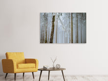 Laden Sie das Bild in den Galerie-Viewer, Leinwandbild 3-teilig Wald im Winter