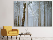 Laden Sie das Bild in den Galerie-Viewer, Leinwandbild 3-teilig Wald im Winter